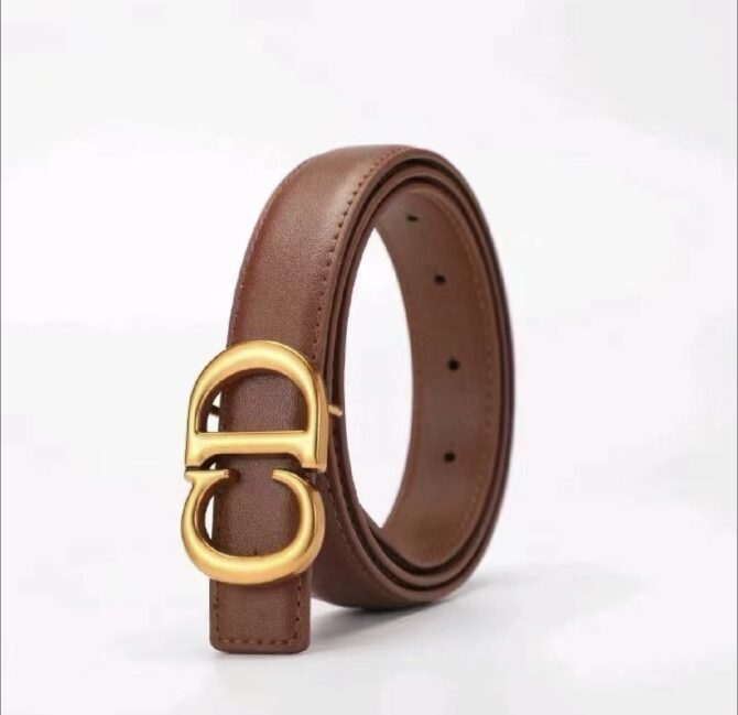 CD- belt bruin